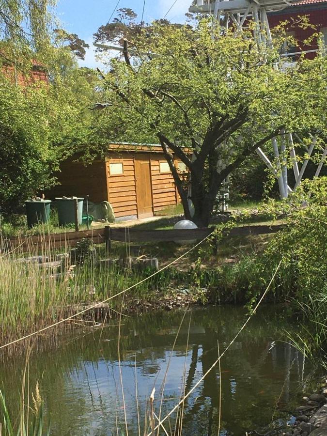 Fewo Schwalbennest Am Meer-Exklusiv-Eigener Strandzugang Kuehlungsborn Exterior foto