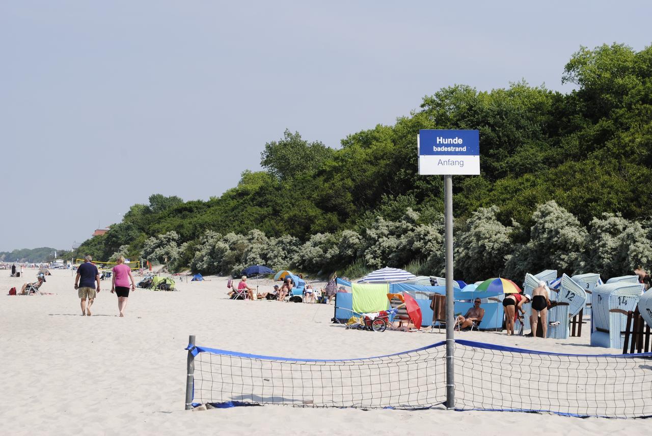 Fewo Schwalbennest Am Meer-Exklusiv-Eigener Strandzugang Kuehlungsborn Exterior foto
